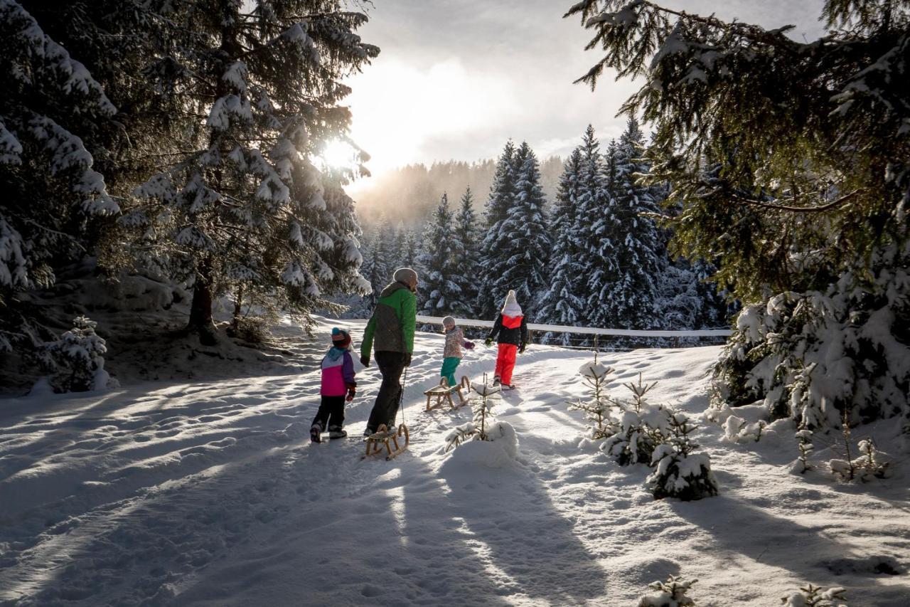 Naturpark Huette Mandl, Biobauernhof & Huettenurlaub Sankt Lambrecht Zewnętrze zdjęcie