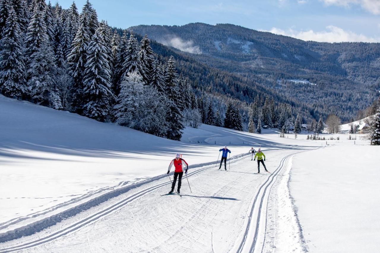 Naturpark Huette Mandl, Biobauernhof & Huettenurlaub Sankt Lambrecht Zewnętrze zdjęcie