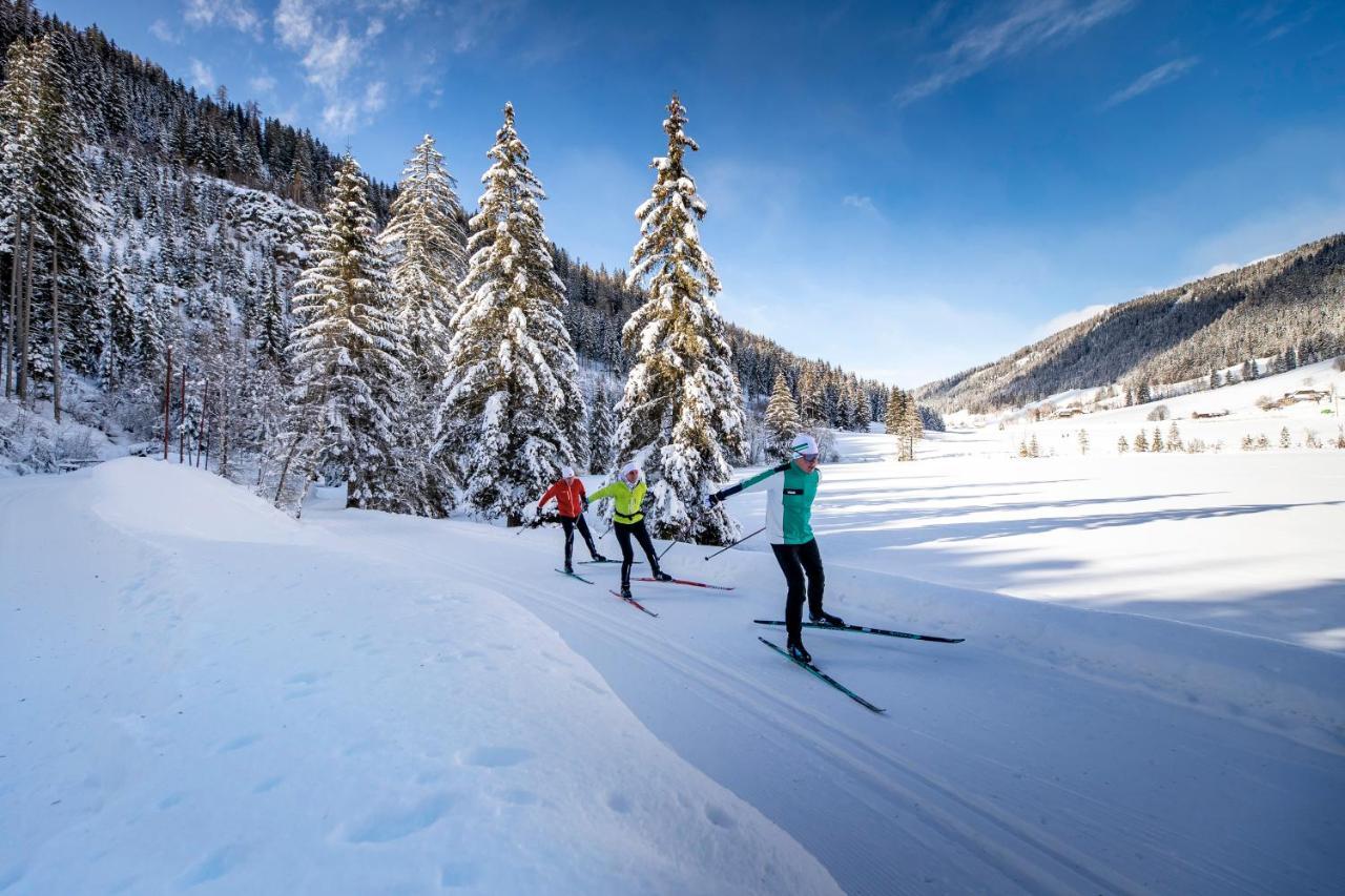 Naturpark Huette Mandl, Biobauernhof & Huettenurlaub Sankt Lambrecht Zewnętrze zdjęcie