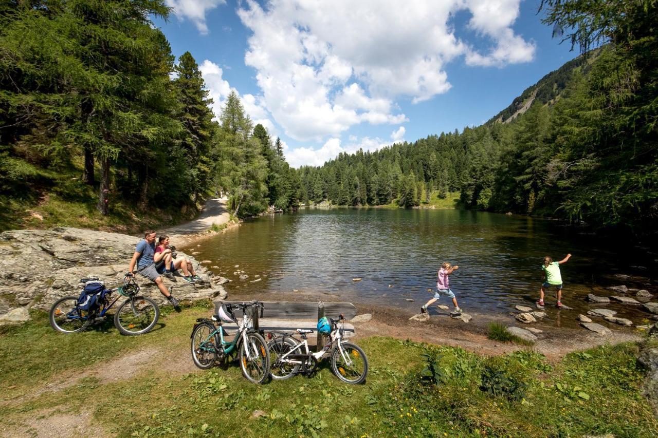Naturpark Huette Mandl, Biobauernhof & Huettenurlaub Sankt Lambrecht Zewnętrze zdjęcie