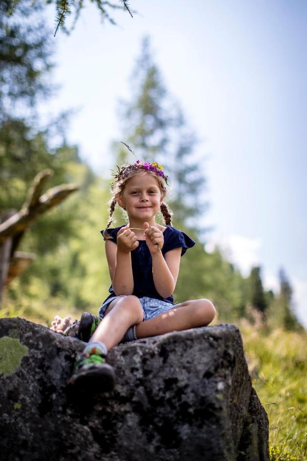 Naturpark Huette Mandl, Biobauernhof & Huettenurlaub Sankt Lambrecht Zewnętrze zdjęcie