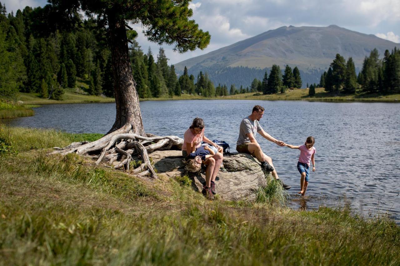 Naturpark Huette Mandl, Biobauernhof & Huettenurlaub Sankt Lambrecht Zewnętrze zdjęcie