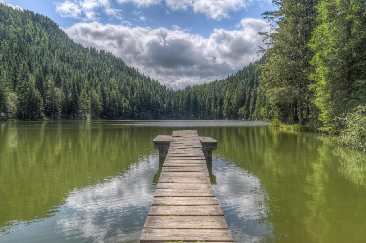 Naturpark Huette Mandl, Biobauernhof & Huettenurlaub Sankt Lambrecht Zewnętrze zdjęcie